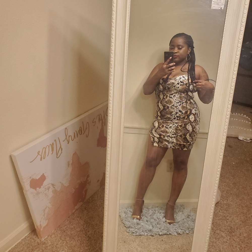 Animal print Bodycon dress